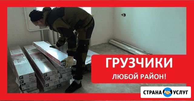 Грузчики Вологда - изображение 1