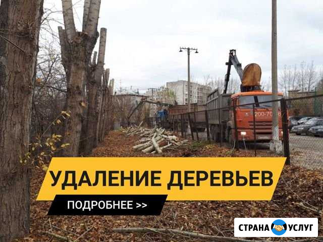 Удаление деревьев Екатеринбург - изображение 1