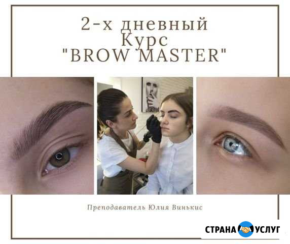 Обучение Бровистов Воронеж - изображение 1