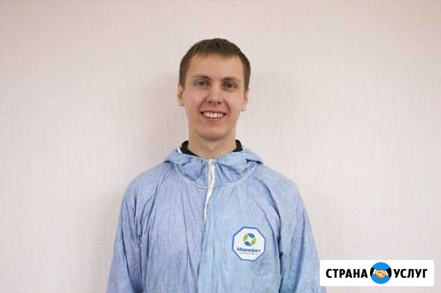 Обработка от клопов тараканов мух клещей Владимир Владимир - изображение 1