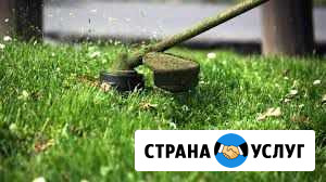 Окос травы, благоустройство участка Кострома - изображение 1
