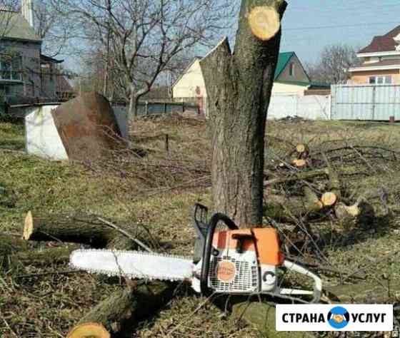 Спилим деревья любой сложности Кореновск