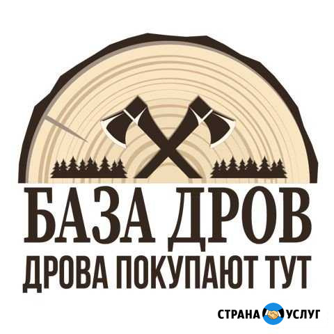 Дрова березовые Снежинск - изображение 1