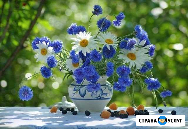Помощь в саду Копейск - изображение 1