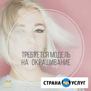 Требуется модель на окрашивание волос Ярославль - изображение 1