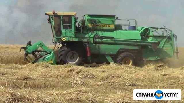 Уборка подсолнечника Грушевская - изображение 1