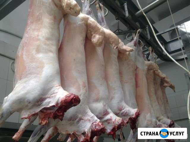 Баранина Ульяновск - изображение 1
