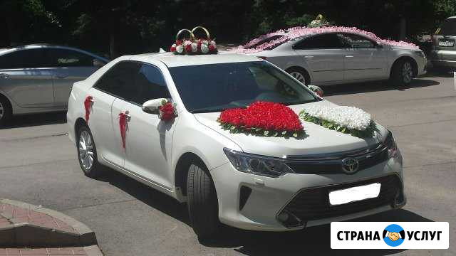 Toyota camry Аренда Авто на Свадьбу.Трансфер Ростов-на-Дону - изображение 1