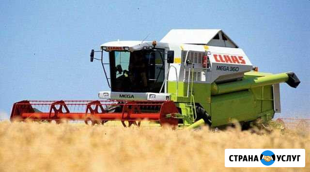Услуги по уборке урожая комбайнами Стерлитамак - изображение 1