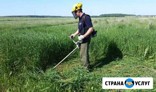 Покос травы Чаплыгин - изображение 1