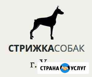 Стрижка собак и кошек в Ухте Ухта