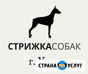 Стрижка собак и кошек в Ухте Ухта - изображение 1