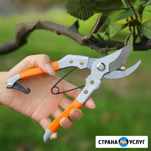 Сад огород Уварово - изображение 1