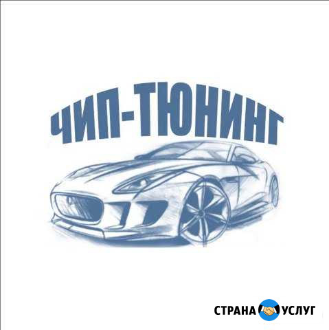 Чип Тюнинг и диагностика Великий Новгород - изображение 1