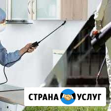 Дезинфекция, обработка от насекомых Набережные Челны - изображение 1