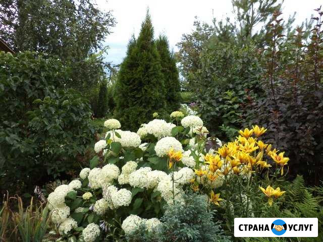 Садовник - дизайн участка Тула - изображение 1
