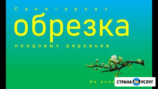 Обрезка плодовых деревьев омолаживающая Тула - изображение 1