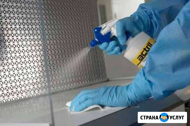 Уборка Дезинфекция помещений Москва - изображение 1