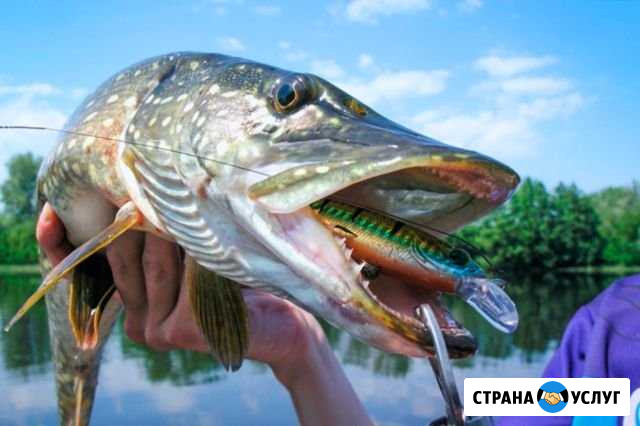 Рыбалка на катере Выборг - изображение 1