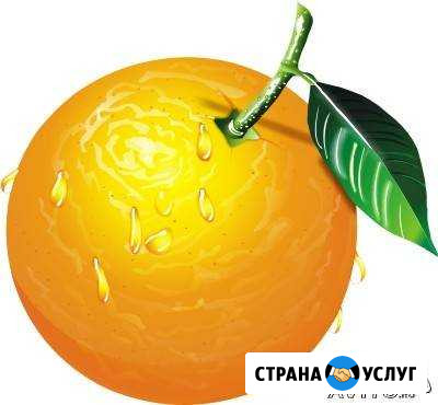 Создание и продвижение сайтов Тольятти - изображение 1