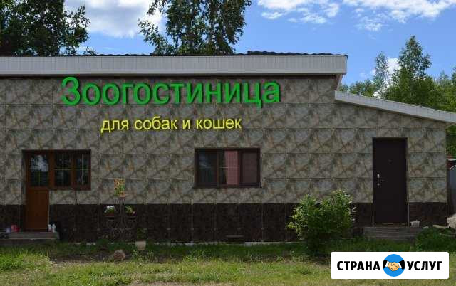 Профессиональная передержка собак Чита - изображение 1