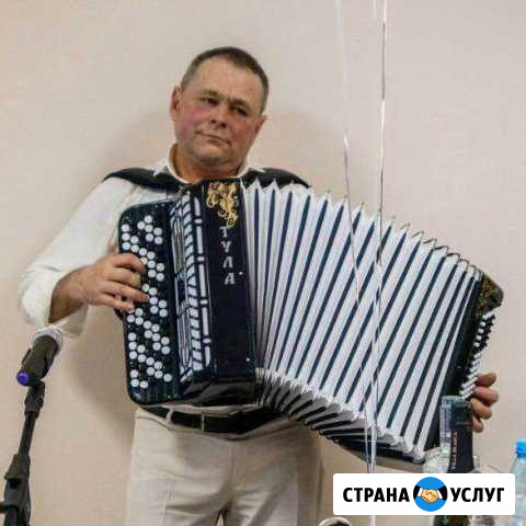 Татарский баянист Менделеевск - изображение 1