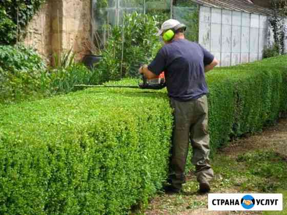 Стрижка растений/Опрыскивание деревьев/Продувка си Астрахань