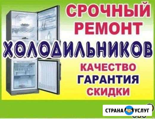 Ремонт холодильников (частник) Новая Усмань - изображение 1
