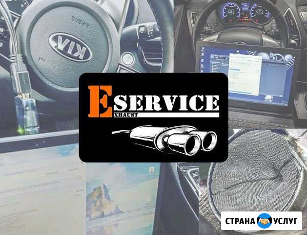 Удаление катализатора бесплатно Чип-тюнинг от 0 Новосибирск - изображение 1