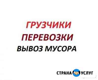 Вывоз мусора Курск