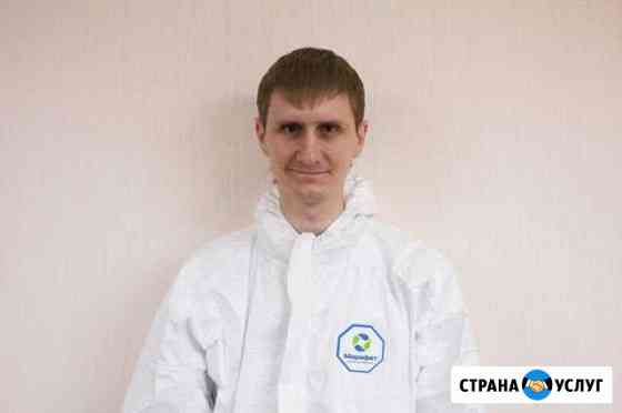Обработка от клопов тараканов мух клещей Киров Киров