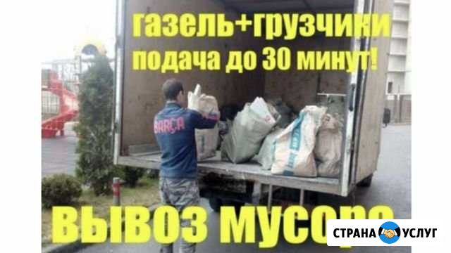 Вывоз мусора Волгоград - изображение 1