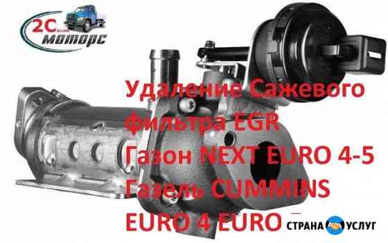 Удаление EGR и Сажевого фильтра на Газон next Нижний Новгород