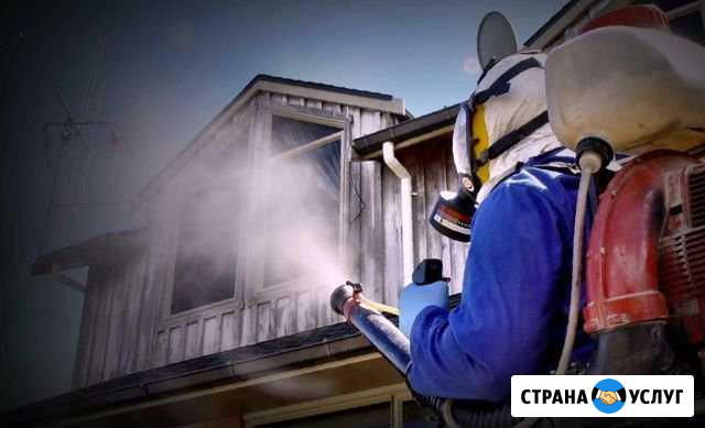 Обработка от клопов, тараканов, блох, мышей, крыс Астрахань - изображение 1