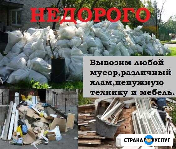 Вывоз мусора Оренбург - изображение 1