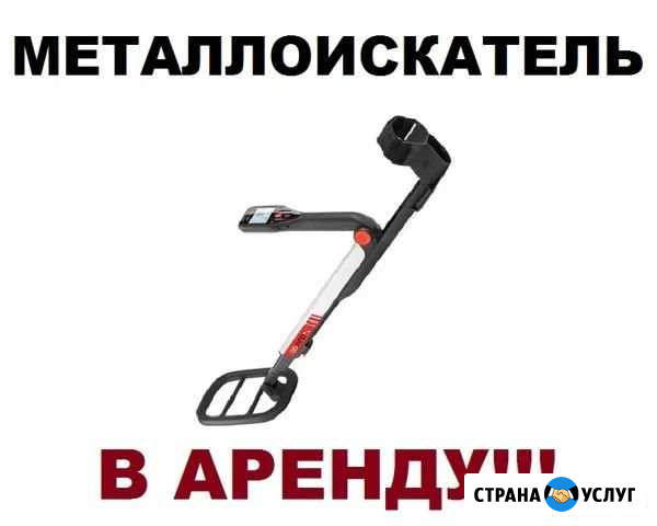 Прокат (аренда) металлоискателя Пушкин - изображение 1