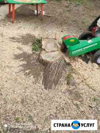 Спил деревьев, уборка, расчистка, вывоз мусора Краснодар