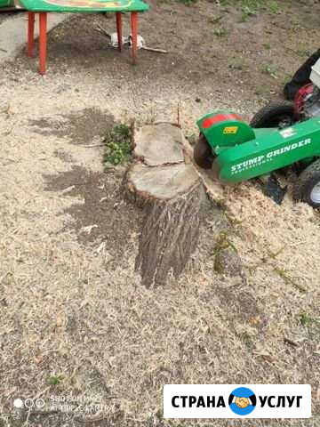 Спил деревьев, уборка, расчистка, вывоз мусора Краснодар - изображение 1