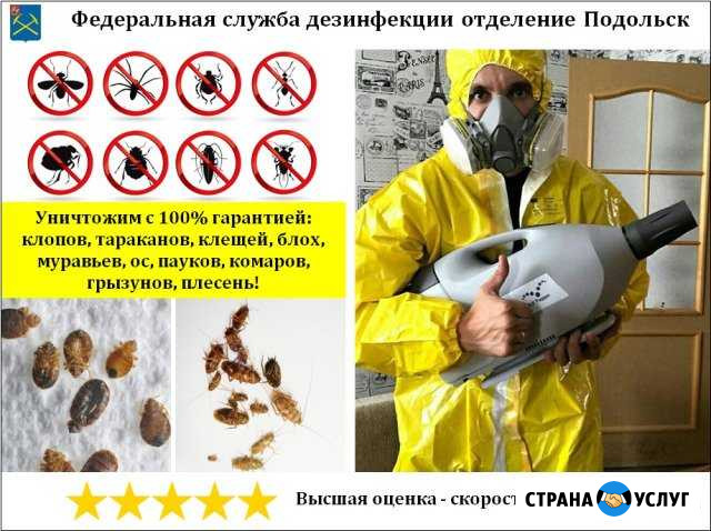 Уничтожение клопов, тараканов, клещей, насекомых Подольск - изображение 1