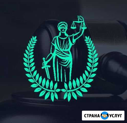 Юрист Кингисепп - изображение 1
