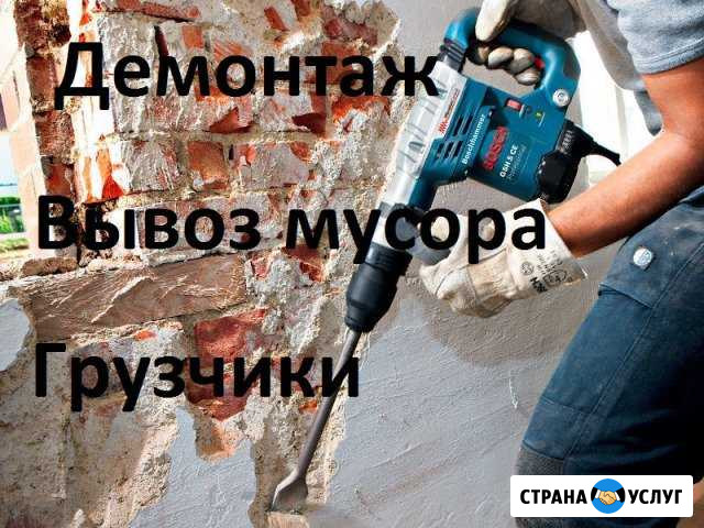 Вывоз мусора Дзержинск - изображение 1