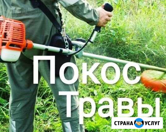 Покос травы триммером Волгодонск - изображение 1