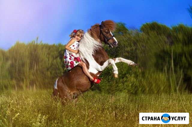 Пони на фотосессии и детские праздники Омск - изображение 1