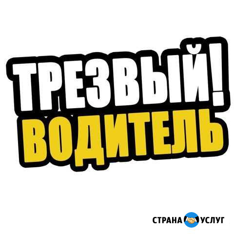Трезвый водитель Рязань - изображение 1