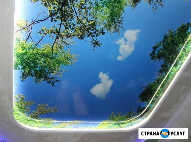 Натяжные потолки и пластиковые окна Ардатов - изображение 1