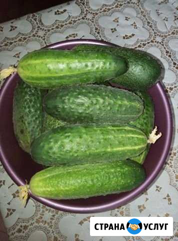 Продукты питания Серов - изображение 1