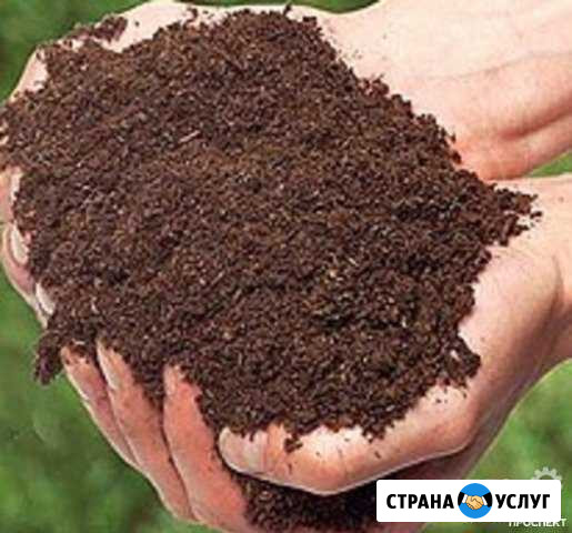 Бесплатная доставка перегноя Искитим - изображение 1