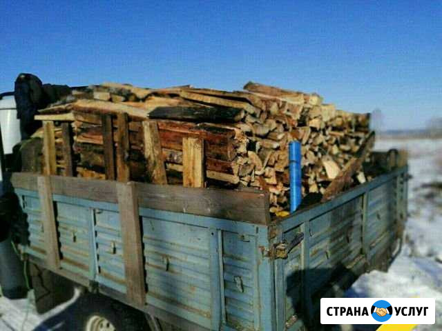 Пиленый лисвяк Тулун - изображение 1