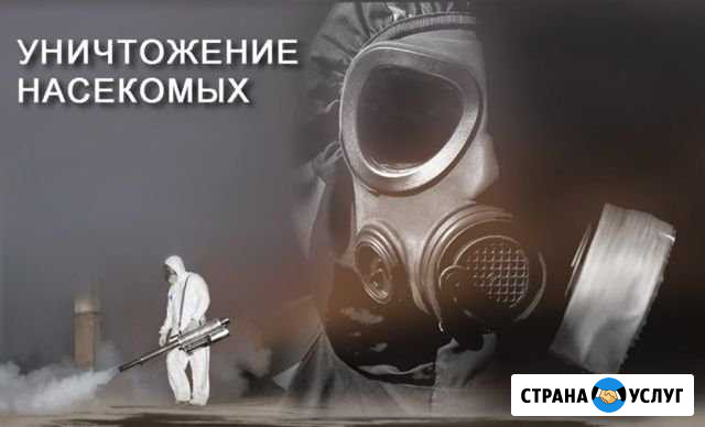 Уничтожение тараканов,комаров,клопов Самара - изображение 1