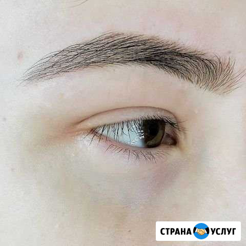 Коррекция и окрашивание бровей Чебоксары - изображение 1